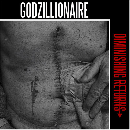 Godzillionaire - Diminishing Returns - Vinyl Record