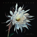 Exploding Star [LP] Vinyl Record