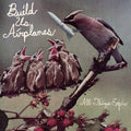 All Things Expire [LP] Vinyl Record