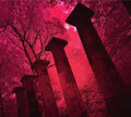 Arc - Chronicle - Music CD