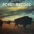 Fossil Record - Little Weight - Vinyl Record