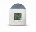 Modern Baseball - You're Gonna Miss It All - Anniversary Edition - Vinyl Record