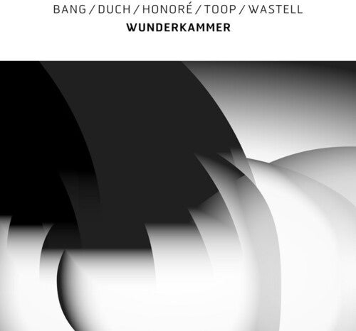 Bang / Duch / Honore / Toop / Wastell - Wunderkammer - Vinyl Record