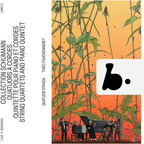 Schumann / Fouchenneret / Quatuor Strada - Schumann Collection - String Quartets & Piano - Music CD
