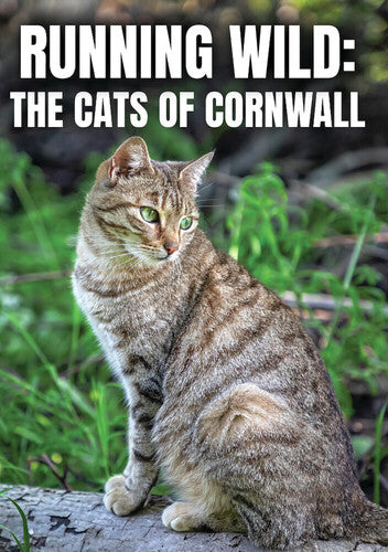 Running Wild: The Cats Of Cornwall - Running Wild: The Cats Of Cornwall - DVD