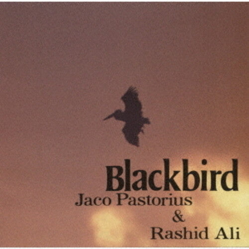 Pastorius,jaco / Ali,rashied - Blackbirds - Music CD
