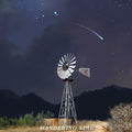 Flatland Cavalry - Wandering Star - Vinyl Record