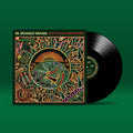 Dr. Strangely Strange - Anti-inflammatory - Vinyl Record
