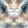 Karchin / Zetlan / Beck / Talea Ensemble - Tribute To The Angels - Music CD