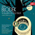 Blodek / Stepanova / Subrtova - V Studni / In The Well - Music CD