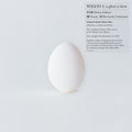 Wilco - Ghost Is Born - Music CD