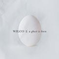 Wilco - A Ghost Is Born [2LP]
