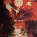 In The Ashes [LP] Vinyl Record