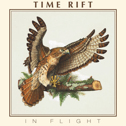 Time Rift - In Flight - Vinyl Record