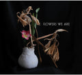 Flowers We Are - Flowers We Are - Music CD