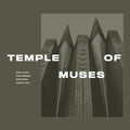Larsen,stian - Temple Of Muses - Music CD