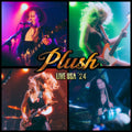 Plush - Live Usa '24 - Music CD