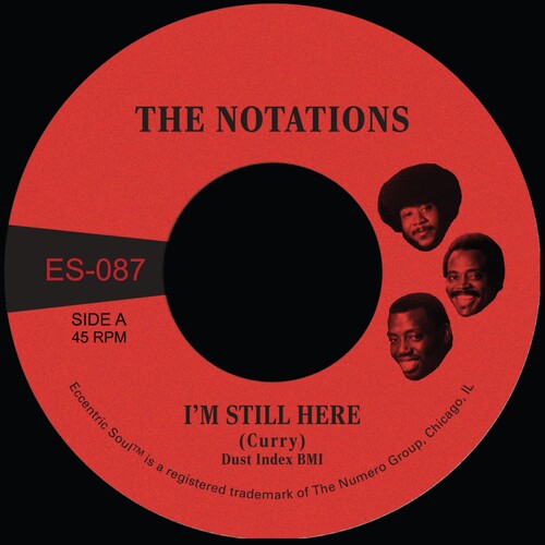 Notations - I'm Still Here B/w What More Can I Say - White - Vinyl Record