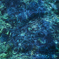 Aoba,ichiko - Luminescent Creatures - Vinyl Record