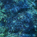 Luminescent Creatures Music CD