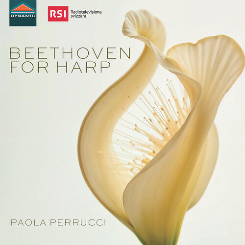 Beethoven,l.v. / Perrucci - Beethoven For Harp - Music CD