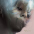 Myrtus Myth - Green [Colored Vinyl] (Grn) Vinyl Record