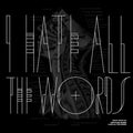 Untitled Noise - Decay Music N.8: I Hate All The Words - Vinyl Record