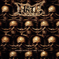 Hate - Awakening Of The Liar - Vinyl Record