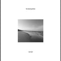 Declining Winter - Last April - Vinyl Record