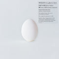 Wilco - Ghost Is Born - Vinyl Record