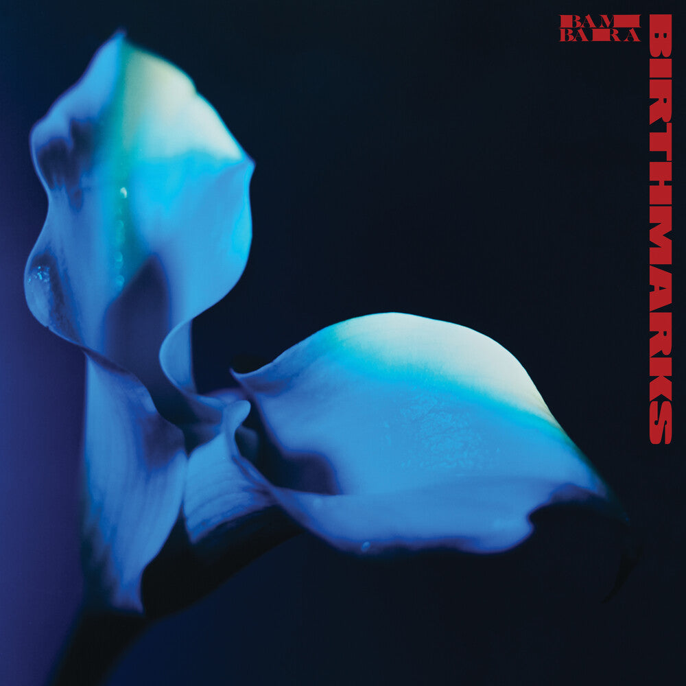 Birthmarks [Clear Vinyl] Vinyl Record