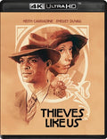 Thieves Like Us - Thieves Like Us - UHD