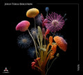 Bergstrom,johan Tobias - Nova - Music CD