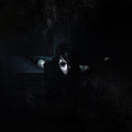 Psyclon Nine - Then Oblivion [LP]