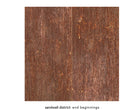 End Beginnings [LP] Vinyl Record