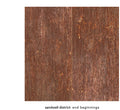 Sandwell District - End Beginnings - Music CD