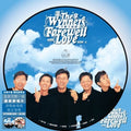Wynners - Farewell With Love (never Change Version) - Pict - Vinyl Record