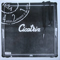 Cicatriz - 4 Anos 2 Meses Y Un Dia - Vinyl Record