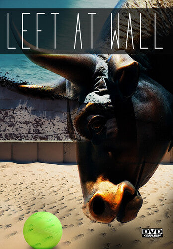 Left At Wall - Left At Wall - DVD