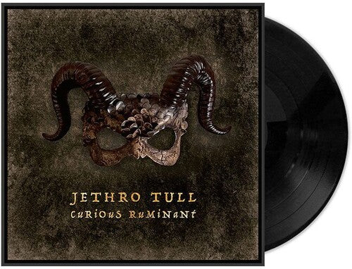 Jethro Tull - Curious Ruminant - Vinyl Record