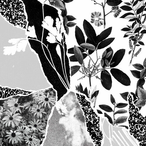 Ponctuation - Mon Herbier Du Monde Entier - Vinyl Record