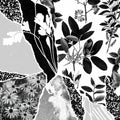 Ponctuation - Mon Herbier Du Monde Entier - Music CD