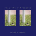 Balcony's Paradise - Spot The Difference - Vinyl Record