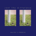 Spot The Difference [LP] Vinyl Record