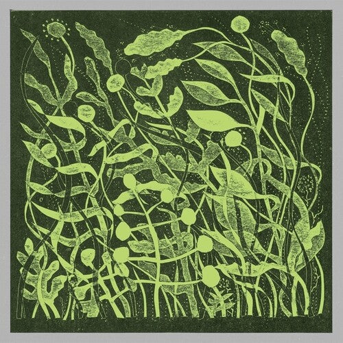 Barley,kirk - Lux - Vinyl Record