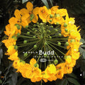 Budd,harold - Avalon Sutra - Vinyl Record