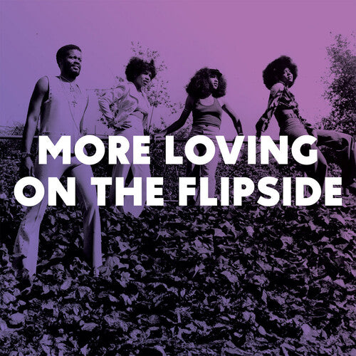 More Loving On The Flipside: Sweet Funk / Various - More Loving On The Flipside: Sweet Funk / Various - Vinyl Record