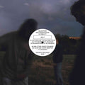 Bluestaeb / Melodiesinfonie & S. Fidelity - 365 P - Vinyl Record