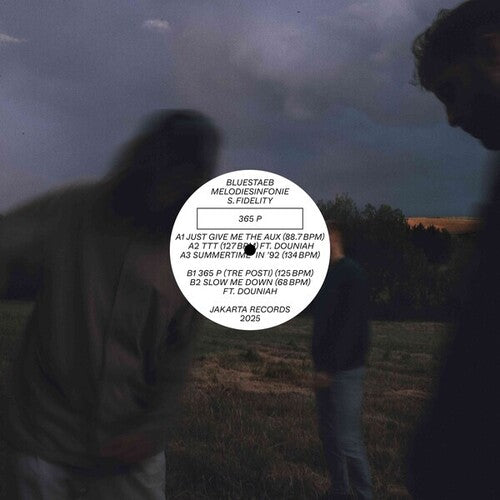 Bluestaeb / Melodiesinfonie & S. Fidelity - 365 P - Vinyl Record