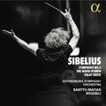 Symphony No. 4 the Wood Nymph Valse Triste Music CD